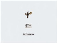 藏品(雙翅目)的圖片